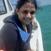 Shark Cage Diving - White Shark Projects - Xplorio™ Gansbaai