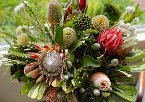 Our Passion for Fynbos and Art