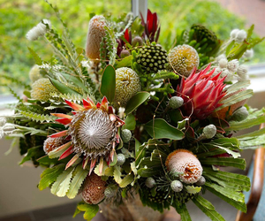 Our Passion for Fynbos and Art