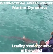 Next Marine Dynamics Shark Cage Diving Trip: 24 March 2022