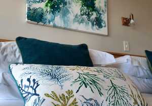 Your Cosy Homebase in Kleinbaai