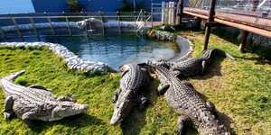 ca46585e_9e6d_433e_a9ae_a1e500126269_1647267005_1648215675