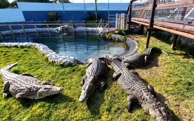 ca46585e_9e6d_433e_a9ae_a1e500126269_1647267005_1648215675