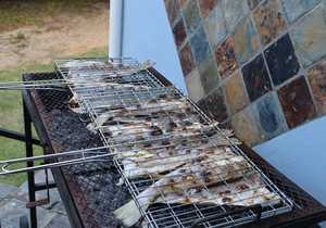 Fancy a Fish Braai?