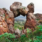 Caledon Wild Flower Garden - Xplorio™ Caledon