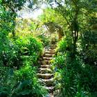 Caledon Wild Flower Garden - Xplorio™ Caledon