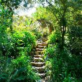 Caledon Wild Flower Garden - Xplorio™ Caledon