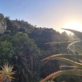 Caledon Wild Flower Garden - Xplorio™ Caledon