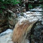 Caledon Wild Flower Garden - Xplorio™ Caledon