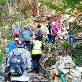 Caledon Wild Flower Garden - Xplorio™ Caledon