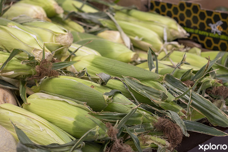 gansbaai_food_butchery_die_markie_laboucherie_mielies_1648635588