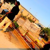 Sun building gardens in Stanford 