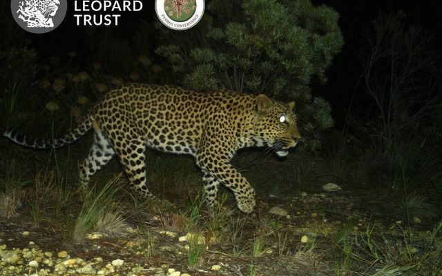 WhatsApp_Image_2022_03_30_at_2.24.13_PM_1648646007