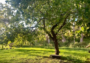 WIN a Personal Retreat for you and a friend!