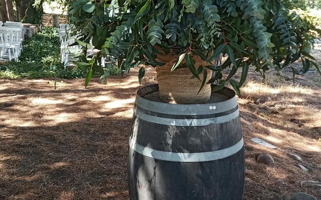 277755984_5802244426469327_156378835527628225_n_1649146395