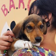 Easter Weekend Operating Hours