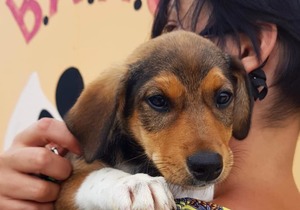 Easter Weekend Operating Hours