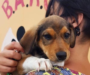 Easter Weekend Operating Hours