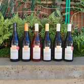 Seven Springs Vineyard - Xplorio™ Caledon