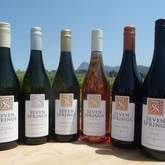 Seven Springs Vineyard - Xplorio™ Caledon