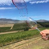 Seven Springs Vineyard - Xplorio™ Caledon