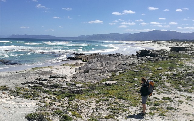 Pilgrimage_of_Hope_1_1649835991