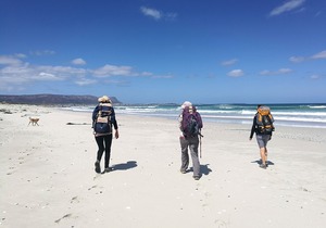 Latest Tripadvisor Review