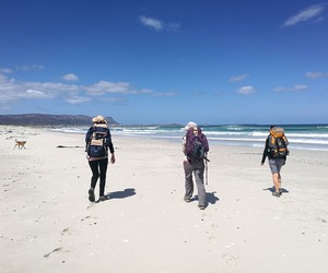 Latest Tripadvisor Review