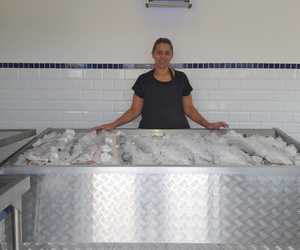 Fresh Yellowtail, Pike and Curry Fish