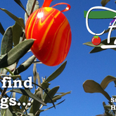 Quite a common question from our customers is, “Where do we find Italian Easter eggs?” Well, we managed to catch on camera a rare sighting of Italian Easter eggs in their natural habitat... Happy Easter to all, from Fabio’s and the team - Fabio's Ristorante - Xplorio™ Hermanus