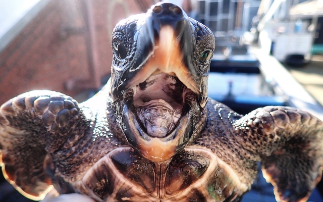 image00113_2_1650459330