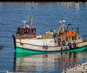 Tragiese Sinking van Silver Snapper (DDF 116)