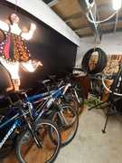 Bicycle Hiring, Sales, Maintenance and Servicing