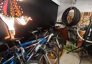 Bicycle Hiring, Sales, Maintenance and Servicing