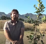 Village TV Stanford: Green Fever with Warren Stegmann