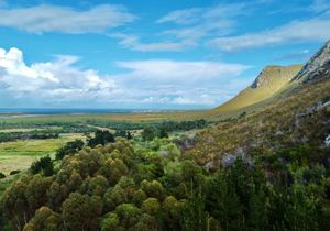 R5,400,000 | 34Ha Farm For Sale in Gansbaai Rural