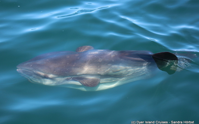 WhatsApp_Image_2022_04_26_at_10.39.50_AM_1650964586