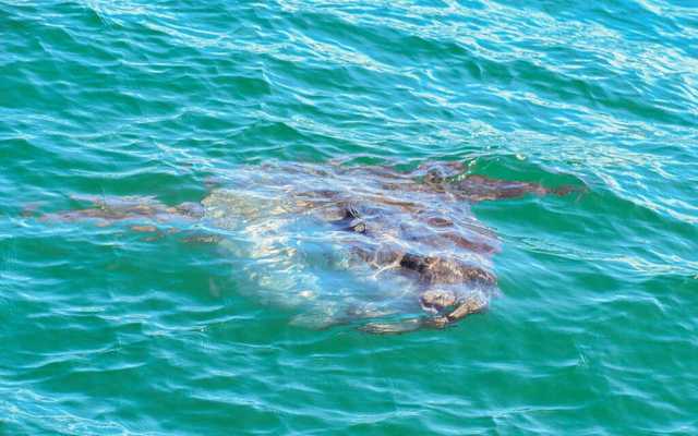 WhatsApp_Image_2022_04_26_at_10.39.52_AM_1650964588