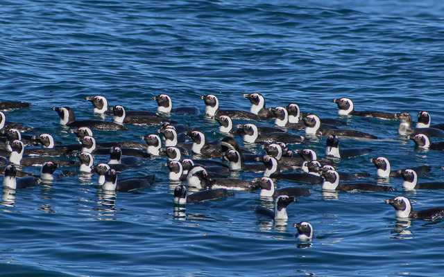 WhatsApp_Image_2022_04_26_at_10.39.52_AM_1__1650964589