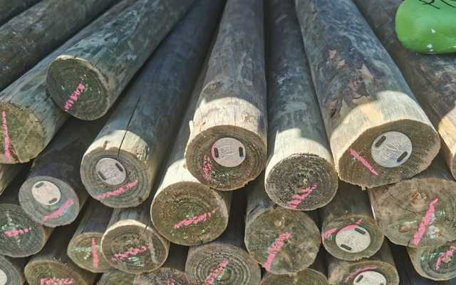 WhatsApp_Image_2022_04_28_at_8.59.19_AM_1__1651130096