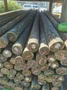 Treated Timber Products