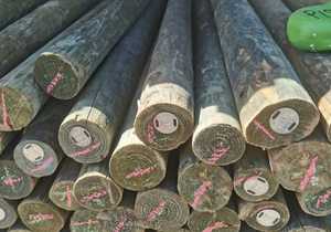 Treated Timber Products