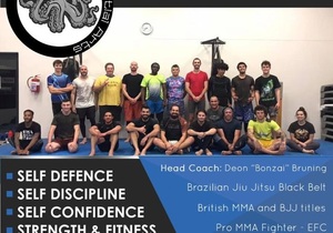 Bonzai Martial Arts: Beginner Classes