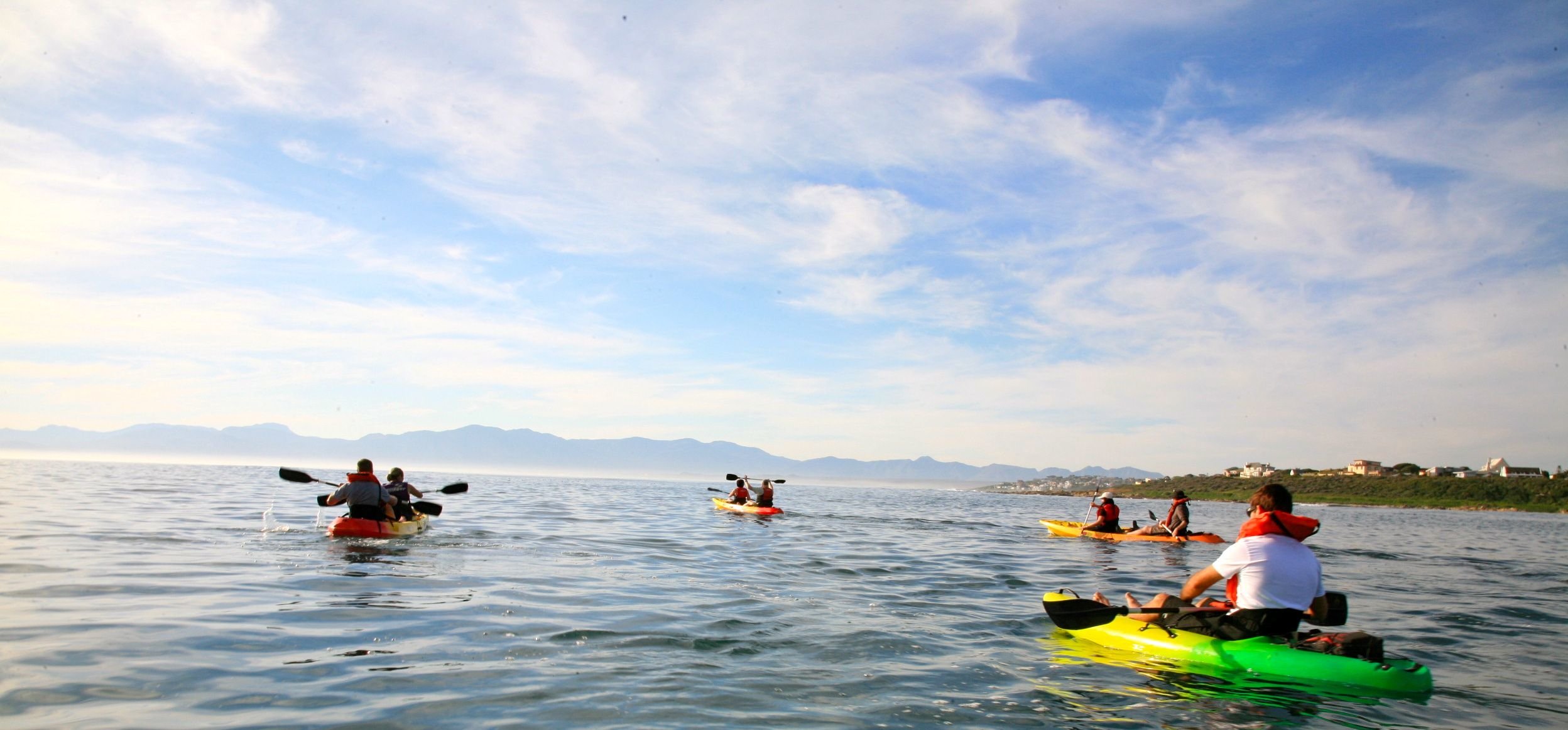 Whale Watching in Hermanus with a Kayak