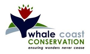 Abagold Wave Energy Converter Project