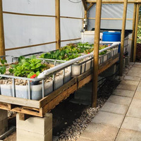 Valley Food Gardens - Xplorio™ Greyton