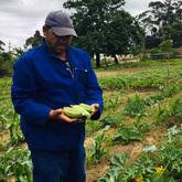 Garden - Valley Food Gardens - Xplorio™ Greyton