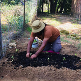 Maintaining Small-scale Agriculture - Valley Food Gardens - Xplorio™ Greyton