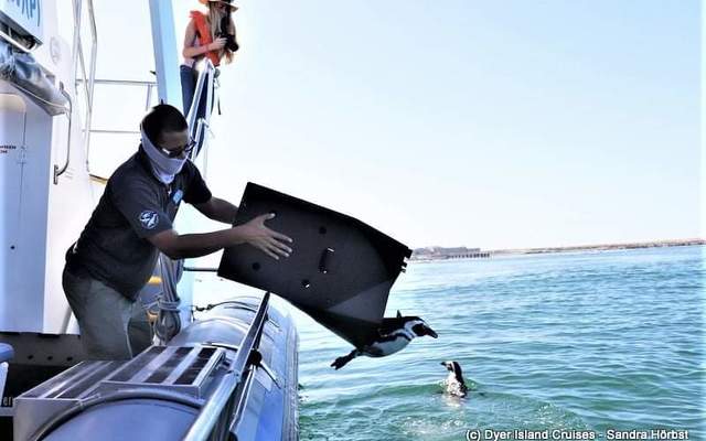 WhatsApp_Image_2022_05_04_at_12.10.10_PM_1651666003