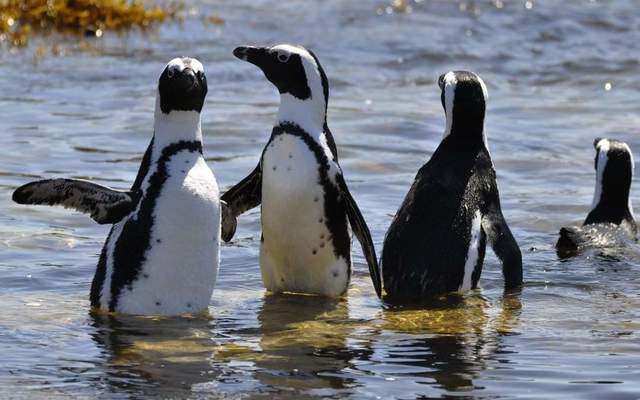 WhatsApp_Image_2022_05_04_at_12.10.13_PM_1651666003